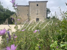 Propriété à vendre 10 pièces - Superbe vue