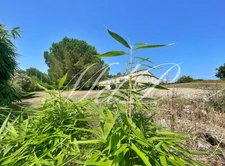 Longère avec vue fantastique  (33)
