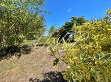 Maison à vendre 10 pièces BONNEVILLE ET SAINT AVIT DE F (24)
