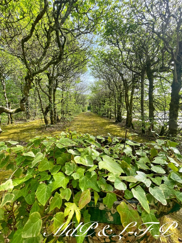Propriete à vendre 10 pièces avec parc