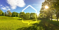 Terrain à vendre de 1377m²-  VERRIE 49400 - à 10 mn de Saumur - terrain arboré