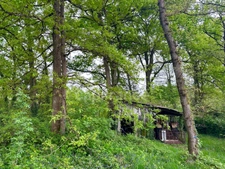 Terrain à vendre de 1377m²-  VERRIE 49400 - à 10 mn de Saumur - terrain arboré