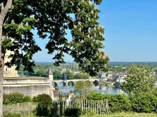 Propriete d'exception à vendre à SAUMUR (49400)  Panorama d'exception sur le château et la Loire - 328m² - 2278m²-piscine