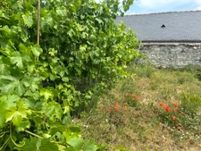  Saumur(49400) à 2,5km du coeur de ville, maison de 110m² entièrement restaurée - Garage - Jardin indépendant