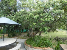 Villa MOULES ET BAUCELS (34)