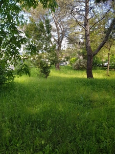 Villa MOULES ET BAUCELS (34)