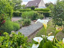 NEUVILLE SUR SARTHE (72) Maison sur sous sol 3 chambres 1500 m2
