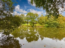 Fishing Holiday Property for Sale – Hambers, Mayenne (53)