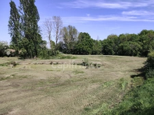 MARESCHE (72) à vendre longère 4 chambres sur 7300 m2