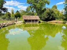 Property for sale: Group accommodation with a house