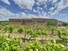 9-room property for sale in VILLALIER (11)