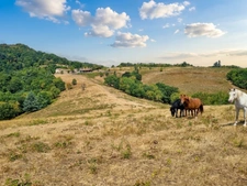 corps de ferme rénové en pleine nature des hautes corbières