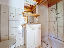 Traditional Chalet in the mountains SAINT GERVAIS LES BAINS (74)