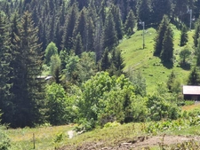Chalet d’alpage à rénover LES CONTAMINES MONTJOIE (74)