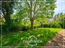 Maison en pierre à rénover, dépendances, terrain 5000m² avec puit, sans vis à vis