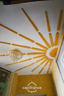 Ancien hôtel particulier de 7 Chambres avec terrasse toit, jardin, salle de cinéma, salle de théâtre, divers salons