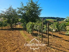 Maison 3 chambres, garage, jardin 3380m², puit, proche Pont du Casse