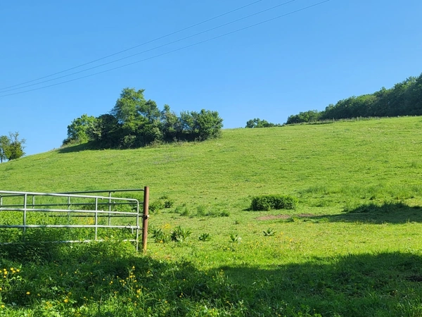 Terrain agricole sur 6 hectares, bois, source, compteur d'eau, clos, abri animaux, chevaux....