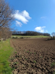 Terrain agricole sur 6 hectares, bois, source, compteur d'eau, clos, abri animaux, chevaux....