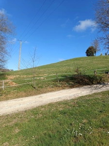 Terrain agricole sur 6 hectares, bois, source, compteur d'eau, clos, abri animaux, chevaux....