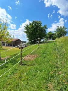 Terrain agricole sur 6 hectares, bois, source, compteur d'eau, clos, abri animaux, chevaux....