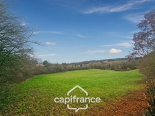 Prairie, terrain de 2.3 hactares avec source