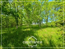 Maison en pierre à rénover, dépendances, terrain 5000m² avec puit, sans vis à vis