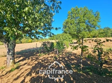 Maison 3 chambres, garage, jardin 3380m², puit, proche Pont du Casse