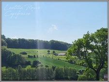 Terrain agricole sur 6 hectares, bois, source, compteur d'eau, clos, abri animaux, chevaux....