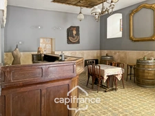 Ancien hôtel particulier de 7 Chambres avec terrasse toit, jardin, salle de cinéma, salle de théâtre, divers salons