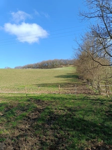 Terrain agricole sur 6 hectares, bois, source, compteur d'eau, clos, abri animaux, chevaux....