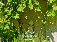 Domaine de charme, 1.7 hectares, 470 m² habitable, 20 couchages, roulotte, piscine, parc avec arbres centenaires