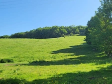 Terrain agricole sur 6 hectares, bois, source, compteur d'eau, clos, abri animaux, chevaux....