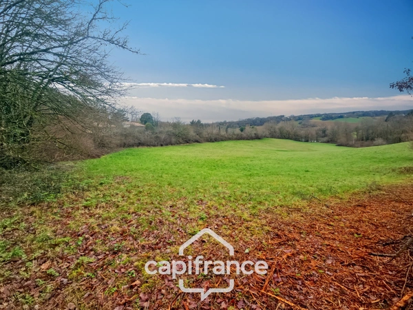 Prairie, terrain de 2.3 hactares avec source