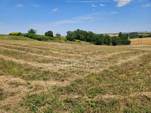 Terrain constructible 3050 m²borné,viabilisé, bel environnement,vue dégagée, 20 min d'Auch