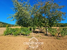 Maison 3 chambres, garage, jardin 3380m², puit, proche Pont du Casse