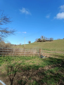 Terrain agricole sur 6 hectares, bois, source, compteur d'eau, clos, abri animaux, chevaux....