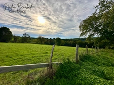 MAIZILLY - Terrain de 4 630,00 m² viabilisable et divisible