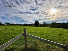 MAIZILLY - Terrain de 4 630,00 m² viabilisable et divisible