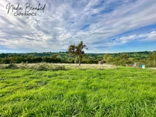 MAIZILLY - Terrain de 4 630,00 m² viabilisable et divisible