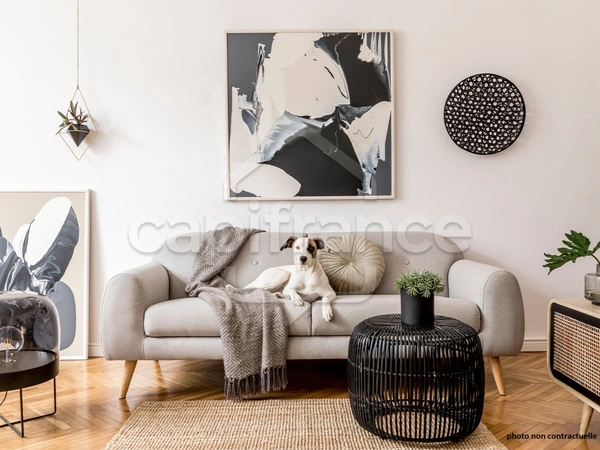 PARIS (75) a vendre Appartement Triplex de 196m² avec Patio