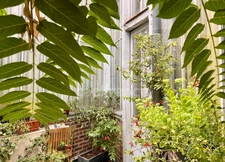 RARE — AUTHENTIQUE ATELIER D’ARTISTE, LIEU CHARGÉ D’HISTOIRE PARIS 14EME ARRONDISSEMENT (75)