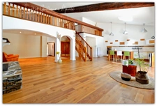 ? Maison en pierre de 170m² rénovée avec 2 cours proche CAPESTANG?
