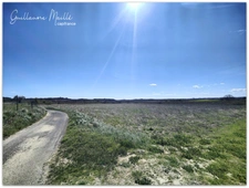 Terrain agricoles de 6 hectares à vendre - CAUX (34720)