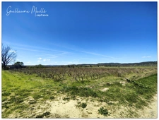 Terrain agricoles de 6 hectares à vendre - CAUX (34720)