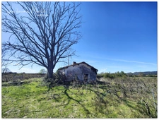 Terrain agricoles de 6 hectares à vendre - CAUX (34720)
