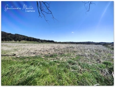 Terrain agricoles de 6 hectares à vendre - CAUX (34720)