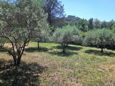 Cendras (30) secteur les Bedos à moins de 10 minutes d'ales, très belle villa 2005 d'environ 130m² sur un terrain clos et arboré de 902 m².