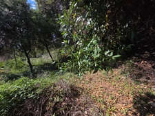 Terrain à vendre  ALES (30), secteur la loubiere sud, très beau terrain à bâtir 1840m² dont environ 750 m² aménageable.