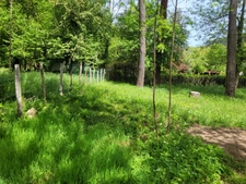 PEYREMALE (30) terrain à bâtir viabilisation en bordure 3500m2 environ.